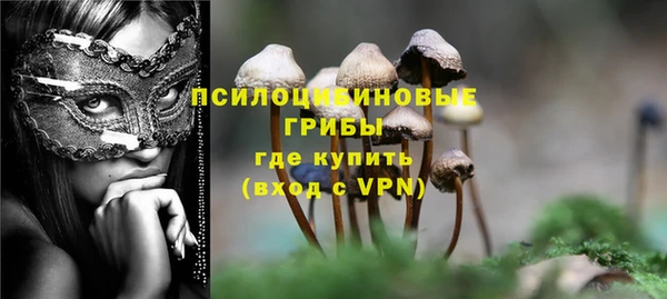 гидра Осташков