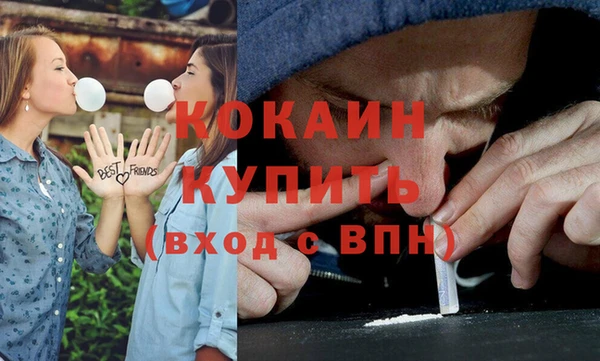 стаф Верея