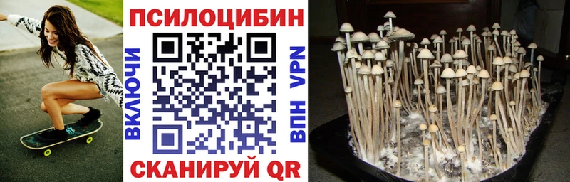 Псилоцибиновые грибы Cubensis  маркетплейс клад  Уварово  mega  